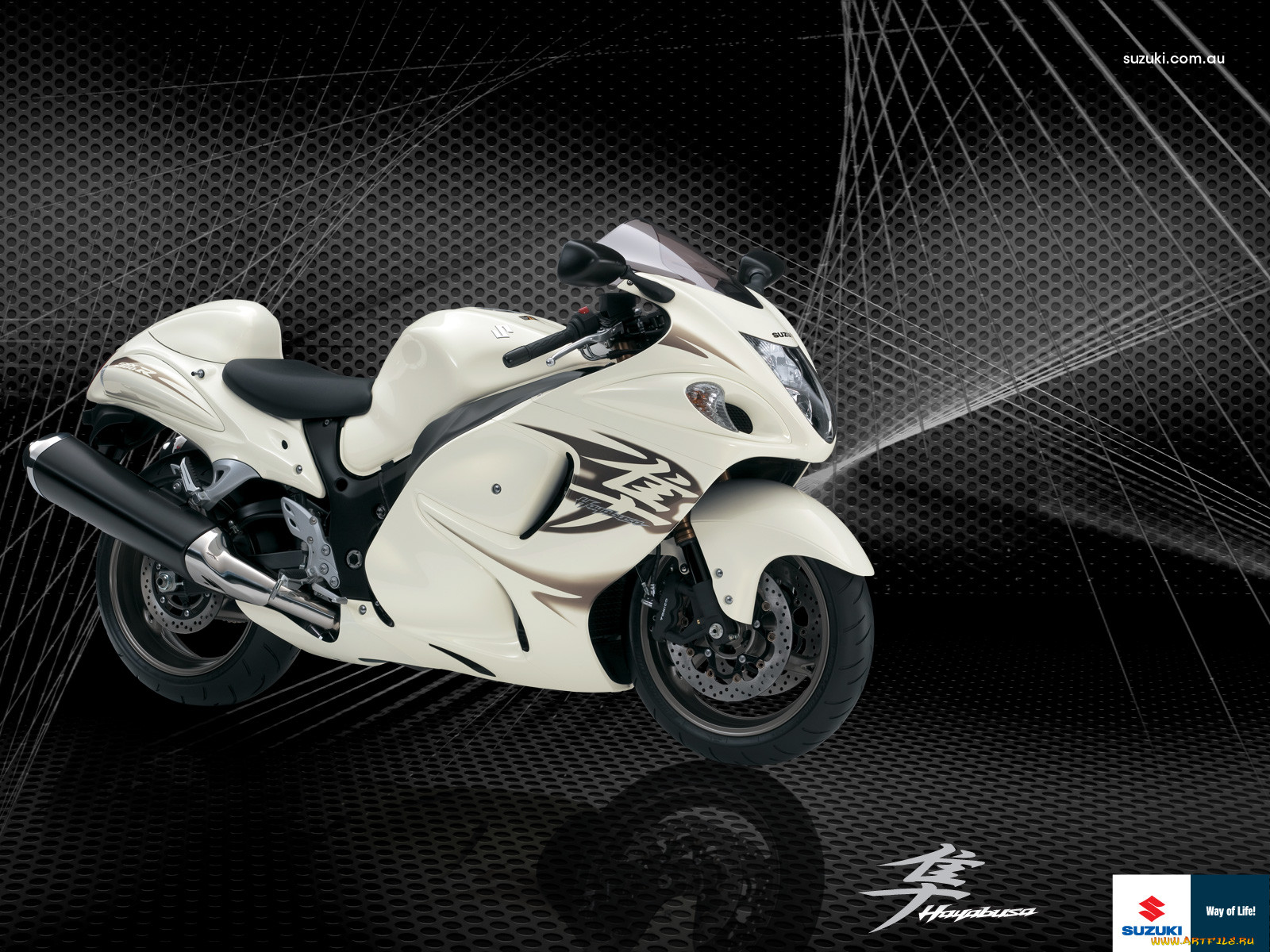 , suzuki